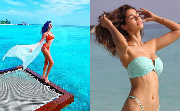 Disha Patani or Tara Sutaria - Choose Your Favourite Bikini Babe?