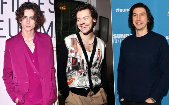 From Timothée Chalamet To Harry Styles - 5 Celebs Challenging The ...