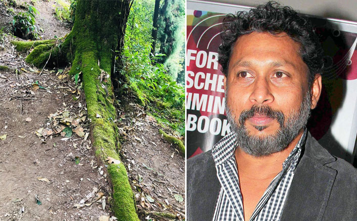 Shoojit Sircar shares why hugging a tree is important