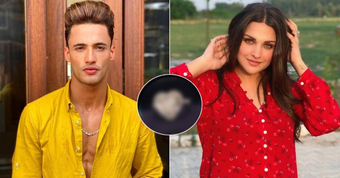 Did Asim Riaz Propose Himanshi Khurrana With An Expensive Tiffany ...