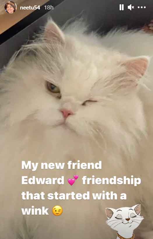 Alia Bhatt's Cat Edward is Neetu Kapoor's 'New Friend'