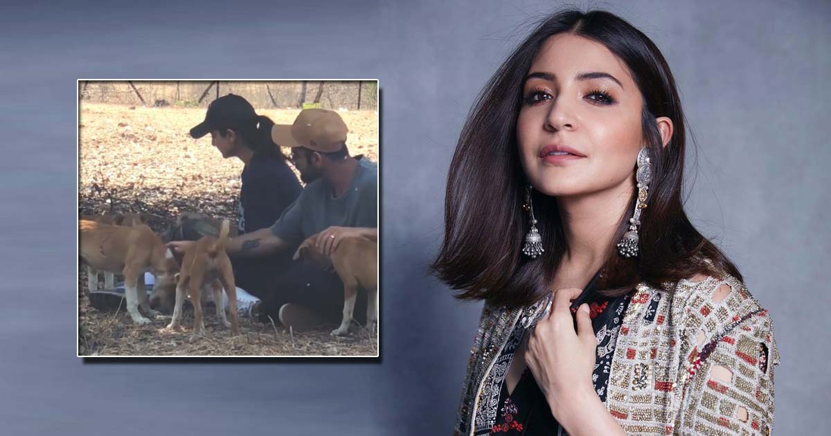 Anushka Sharma's 'Priceless 2020 Moments' Are Filled With Dogs, Watch To Give A 'Pawsitive' Start To Your Weekend - Check Out