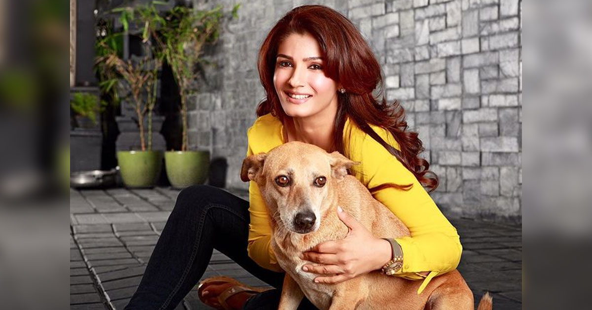 Raveena Tandon Wants Poachers & Rapists To Be Hanged: “Our Laws & Sentencing Too Weak…”