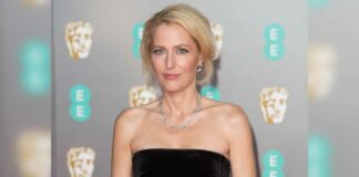 Gillian Anderson Ditches Bra and Doesn't Care if Her Breasts Reach Her Belly Button