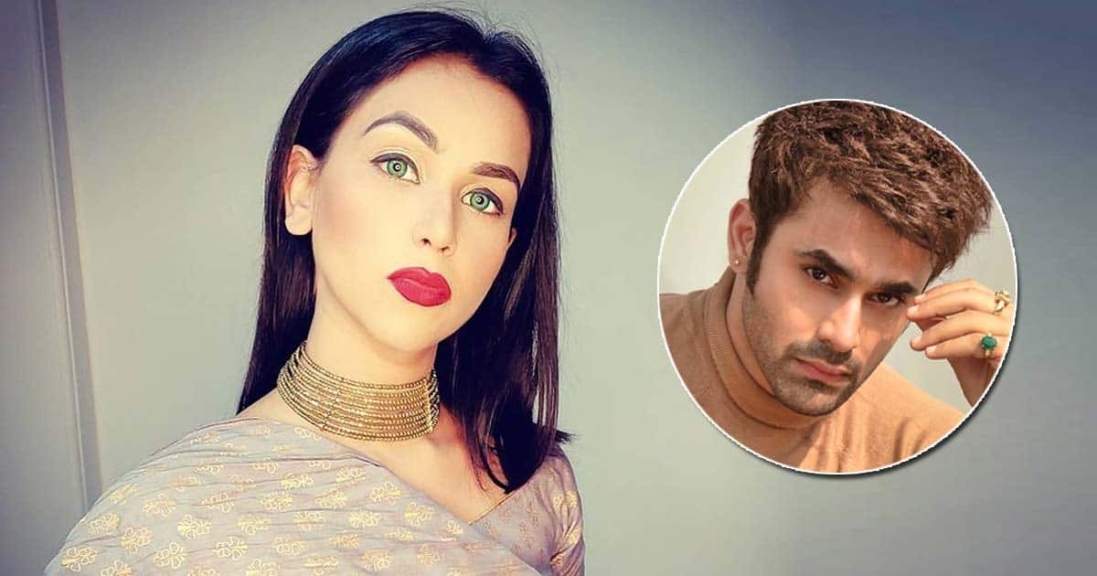 When Aanchal Khurana Opened Up On Her Fight With Pearl V Puri On The Sets Of ‘Meri Saasu Maa’ - Read On
