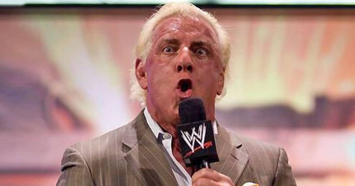 Ric Flair Releases Statement On Air Hostess S*xual Assault