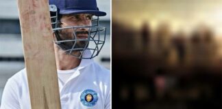 Shahid Kapoor's Jersey To Clash With A Marvel Movie At The Box Office On Diwali 2021 - Vote For Your Favourite!