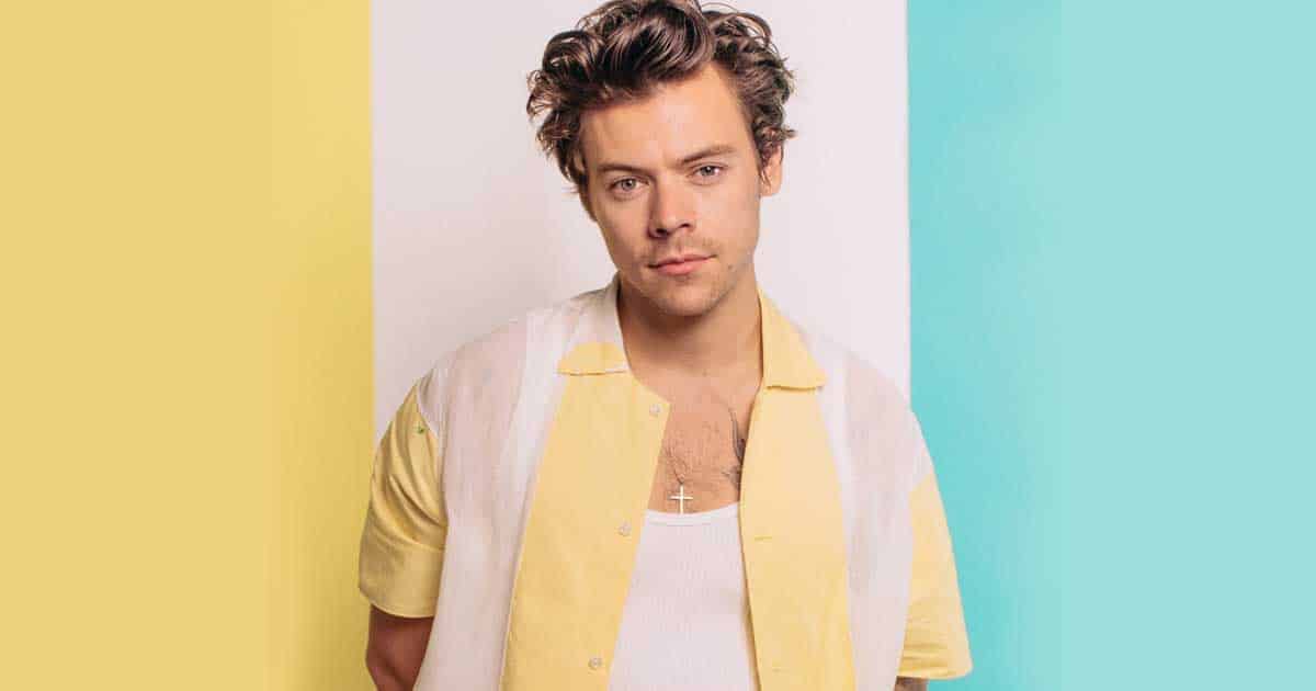 Harry Styles Makes The Day Of Another Fan By Assisting Them With A Gender Reveal During His Concert