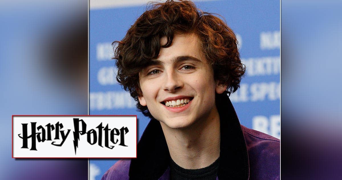Timothée Chalamet Makes Slytherin Trend After Wearing A Harry Potter Sweater For An Interview