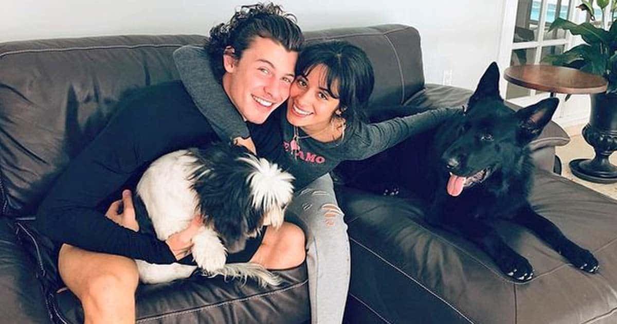 Camila Cabello Opens Up About Feeling Anxious & Unstable Post Her Breakup With Shawn Mendes
