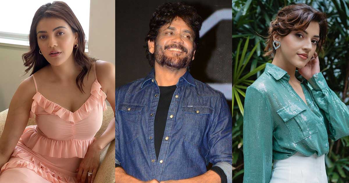 Mehreen Pirzada Likely To Be Cast In Nagarjuna's 'The Ghost'
