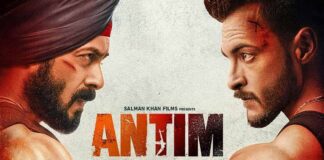 Antim Box Office: Check Out The Day To Day Collection