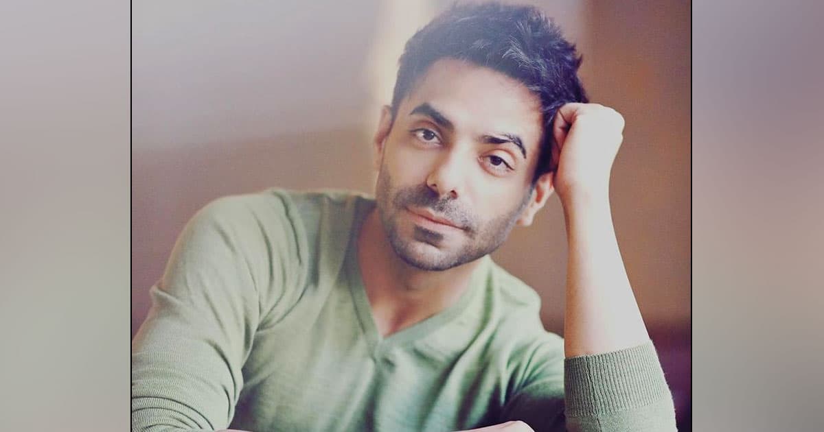 Aparshakti Khurana: It's a good time to concentrate on lead roles