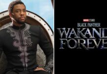 Black Panther: Wakanda Forever Petition For Replacing Chadwick Boseman's T'Challa Almost Hits 50,000 Signatures