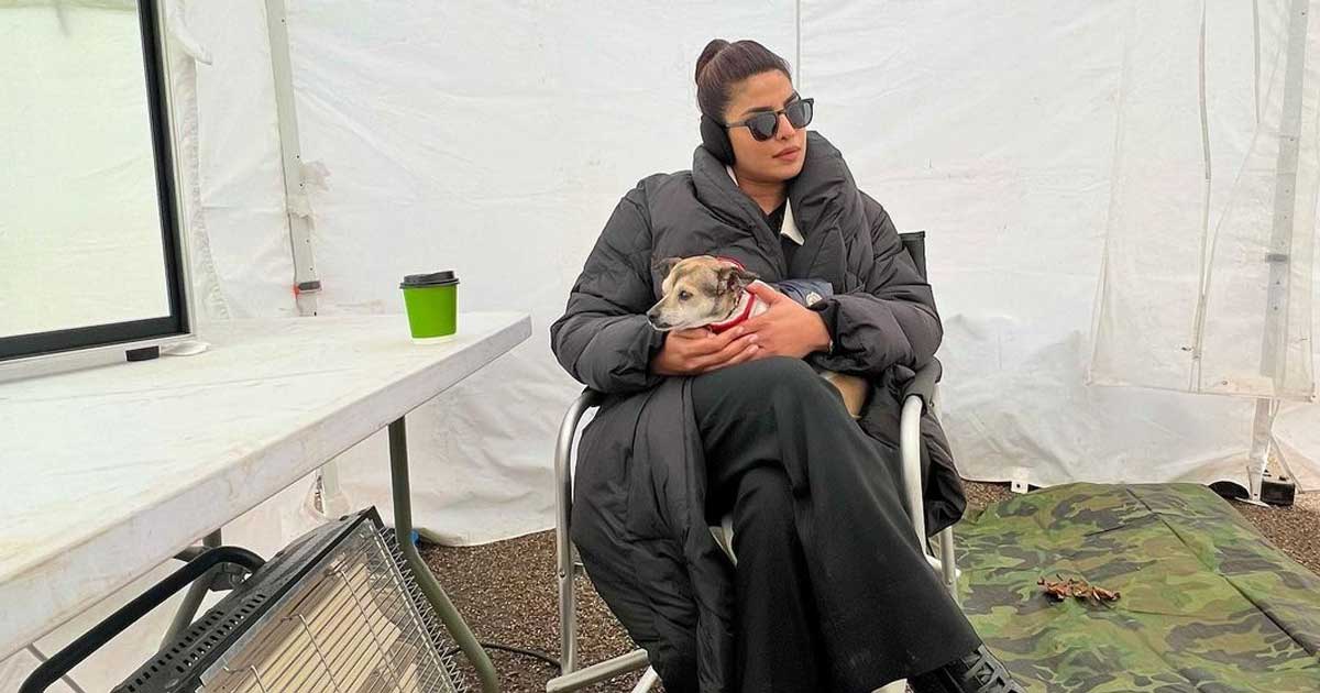 Priyanka Chopra Enjoys The Day With Her Fur Friends At Work - Check It Out!