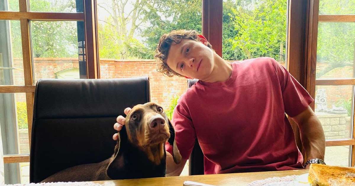 'Spider-Man' Actor Tom Holland Opens Up About His Future; Says, "I Don't Even Know If I Want To Be An Actor"