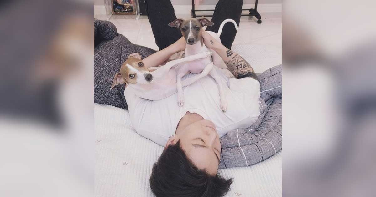 BTS Member Jungkook Shares An Adorable Photo Of Him Playing With His Pups On Instagram
