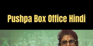 cropped-Pushpa-Box-Office-Hindi.jpg