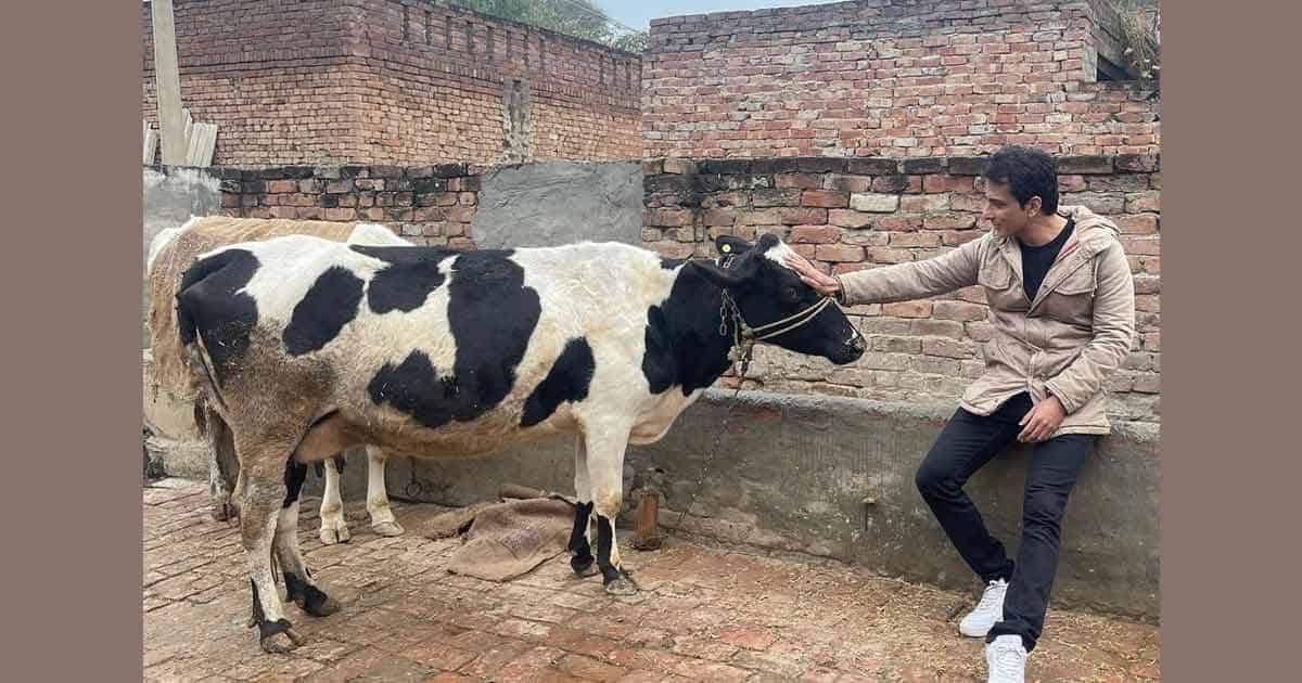 Netizens Have A Field Day As Sonu Sood Shares A Photo With Cow; Their Hilarious Comments Will Leave You In Splits – Read On