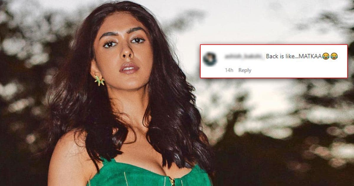 Mrunal Thakur Gives A Befitting Reply To Troll Body-shaming Her; Says, “Some Pay For It”