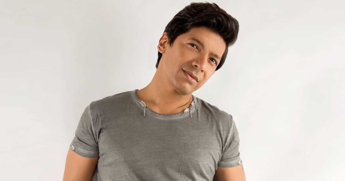 Shaan Slams Trolls Mercilessly Abusing Him During Insta Live – Know Why?
