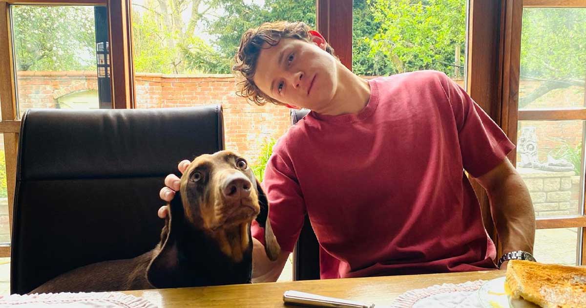 Tom Holland Doesn't Want Fans To Look At His 'Embarrassing Chest Hair' In Uncharted 