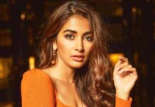 Pooja Hegde says acquiring a pan-India fan base was a coincidence