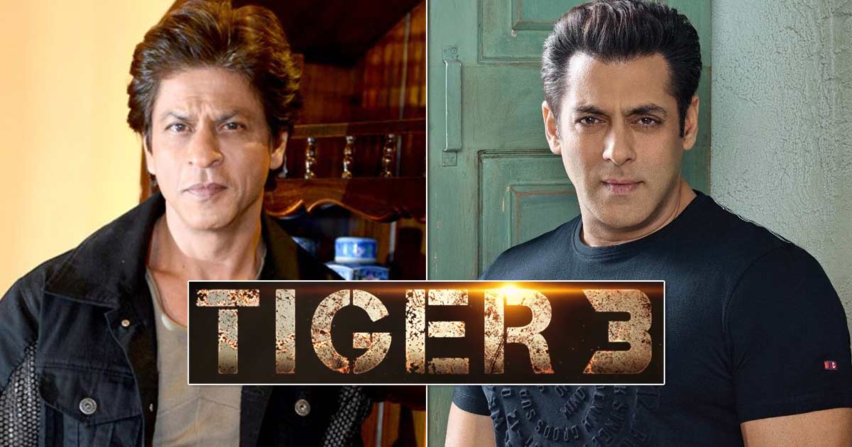 Shah Rukh Khan To Shoot His Cameo For Salman Khan Starrer Tiger 3 In June
