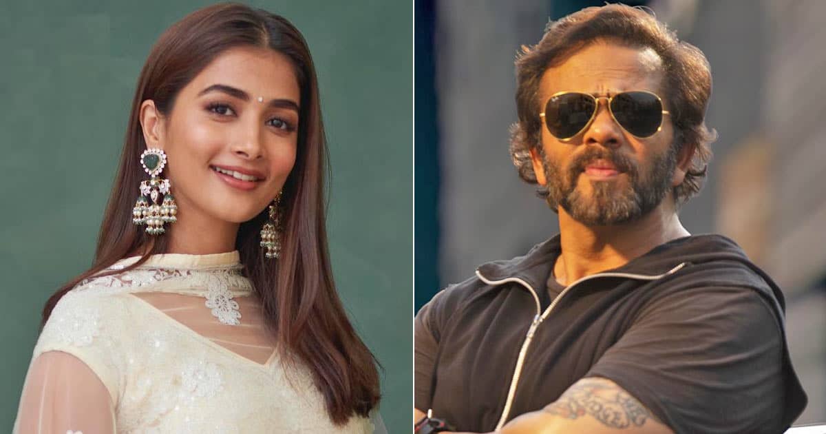 Why Pooja Hegde signed up for Rohit Shetty's 'Cirkus'