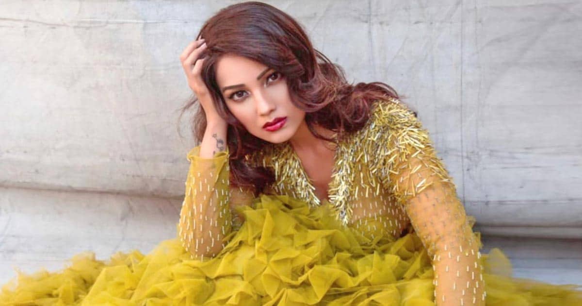 Adaa Khan on her latest music video 'Tera Hoya Deewana'