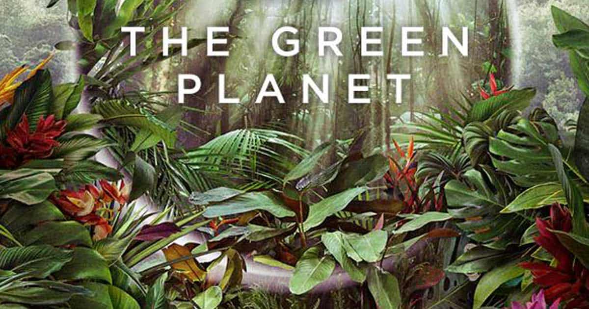 David Attenborough To Present BBC's New Series Titled 'The Green Planet'