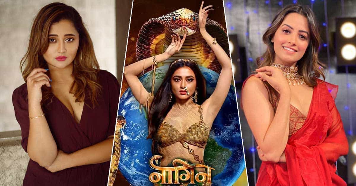 Naagin 6: Will Anita Hassanandani Enter The Show Soon? Here’s What She Had To Say!