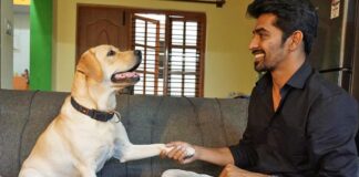 Even those who don't have pets will start loving them: '777 Charlie' director Kiran Raj