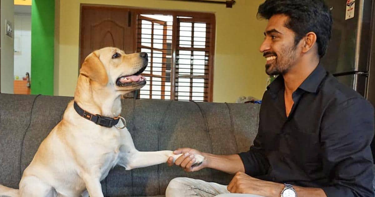 Even Those Who Don't Have Pets Will Start Loving Them: '777 Charlie' Director Kiran Raj