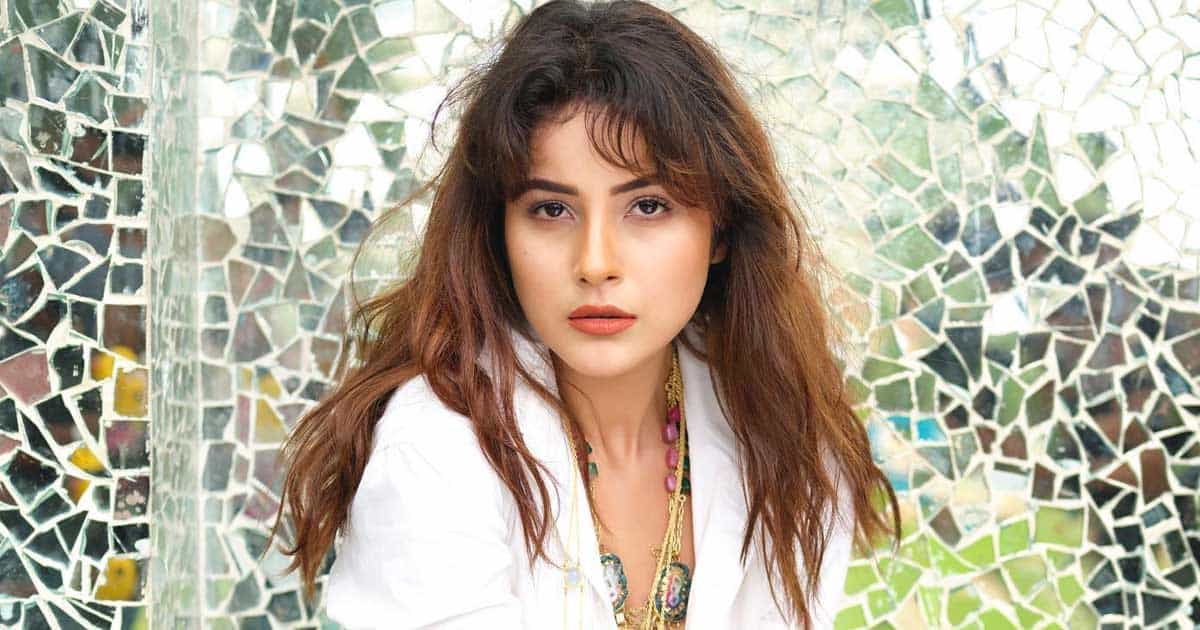 Kabhi Eid Kabhi Diwali: Shehnaaz Gill's Elegant Look Gets Leaked From Salman Khan & Pooja Hegde Starrer