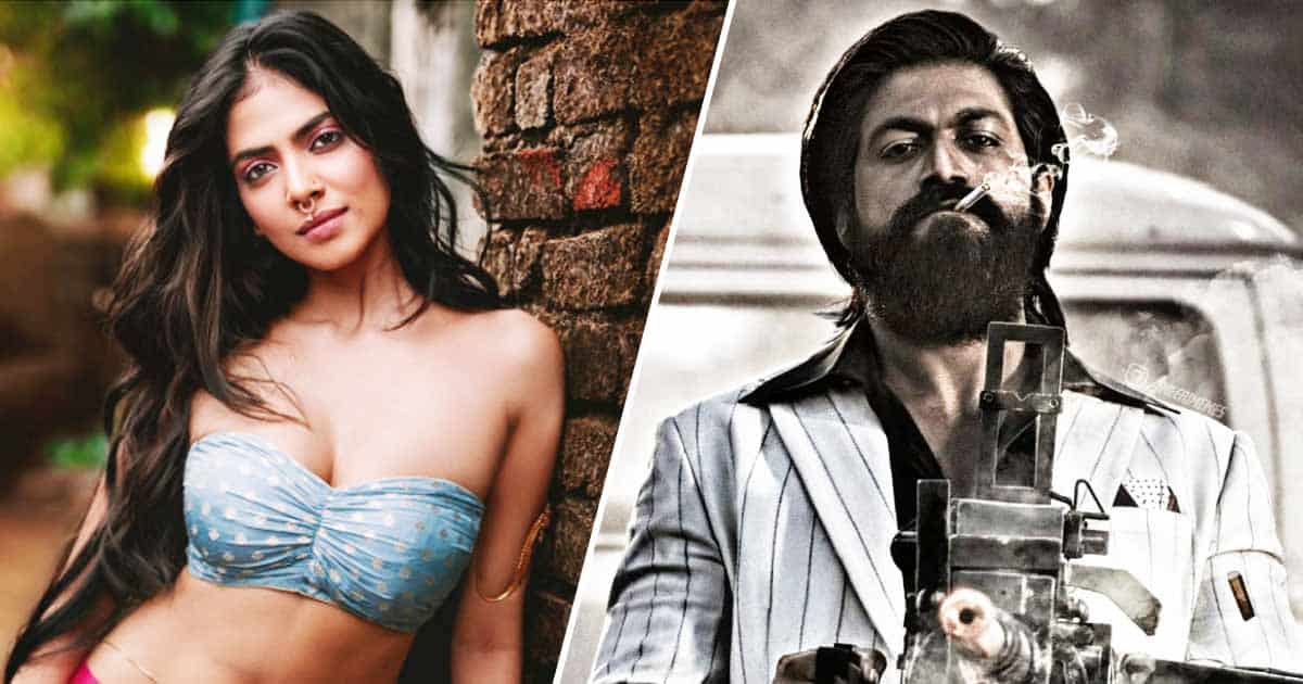 Malavika Mohanan Shuts Down Troll In The Classiest Way, Reacts To A Fan Who Wants Her Paired With KGF Chapter 2 Star Yash