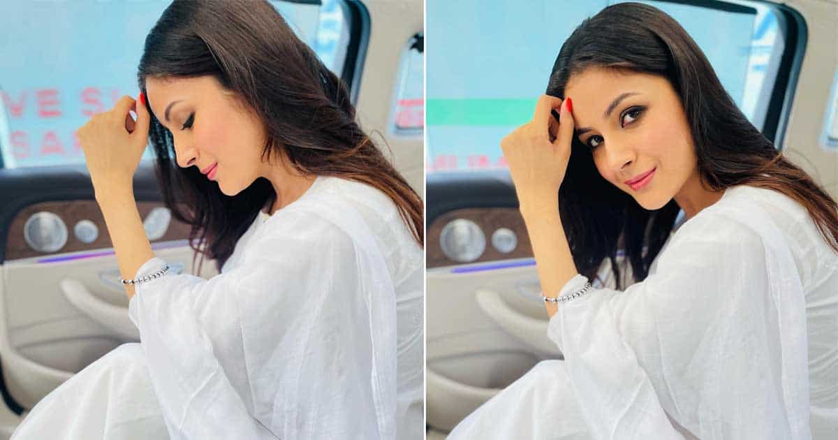 Shehnaaz Gill looks 'serene' in all-white outfit