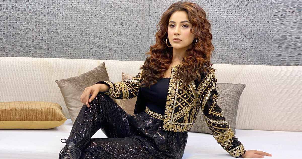 Kabhi Eid Kabhi Diwali Star Shehnaaz Gill Still Considers Herself 'A Newcomer'; Read On