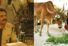 Nawazuddin, Sanjay Mishra-starrer 'Holy Cow' to release on August 26