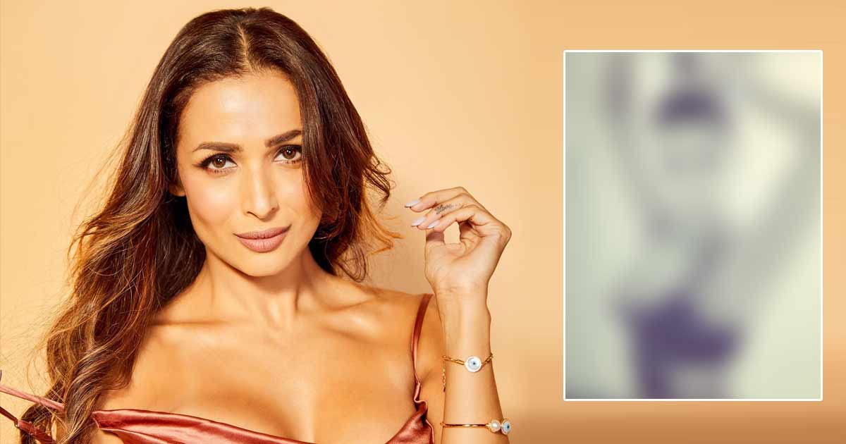 When Malaika Arora Flaunted Her Unshaved Arms While Posing With Her Curvaceous Figure In A Bodysuit Giving Us Body Goals - See Pic Inside