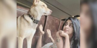 Show pets your love and they'll love you back a hundred fold, says Kaniha