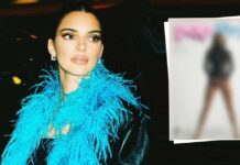Kendall Jenner Posing Sultrily To The Camera Without Pants