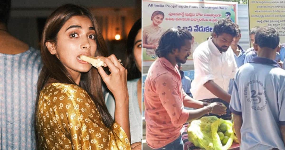 Fans feed specially-abled kids, donate fodder for 111 cows on Pooja Hegde's b'day