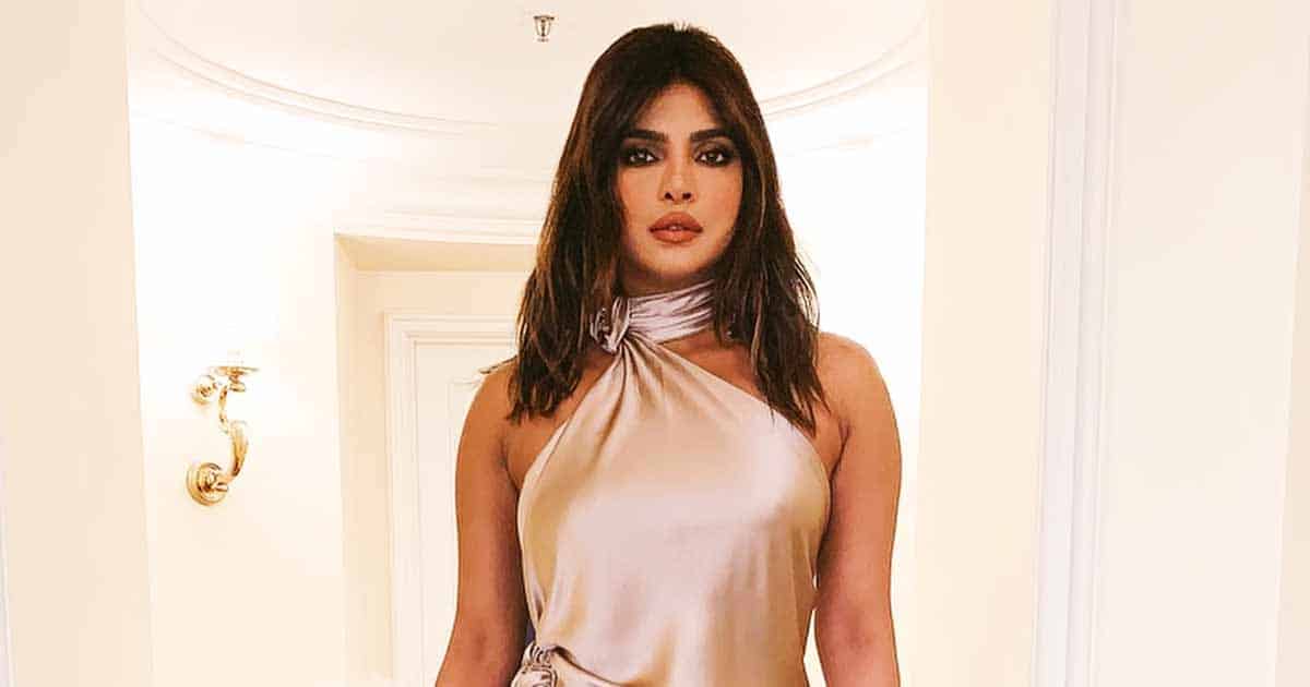 Priyanka Chopra Stands Up For The Courageous Iran Women, Receives Backlash From Netizens, Here's Why
