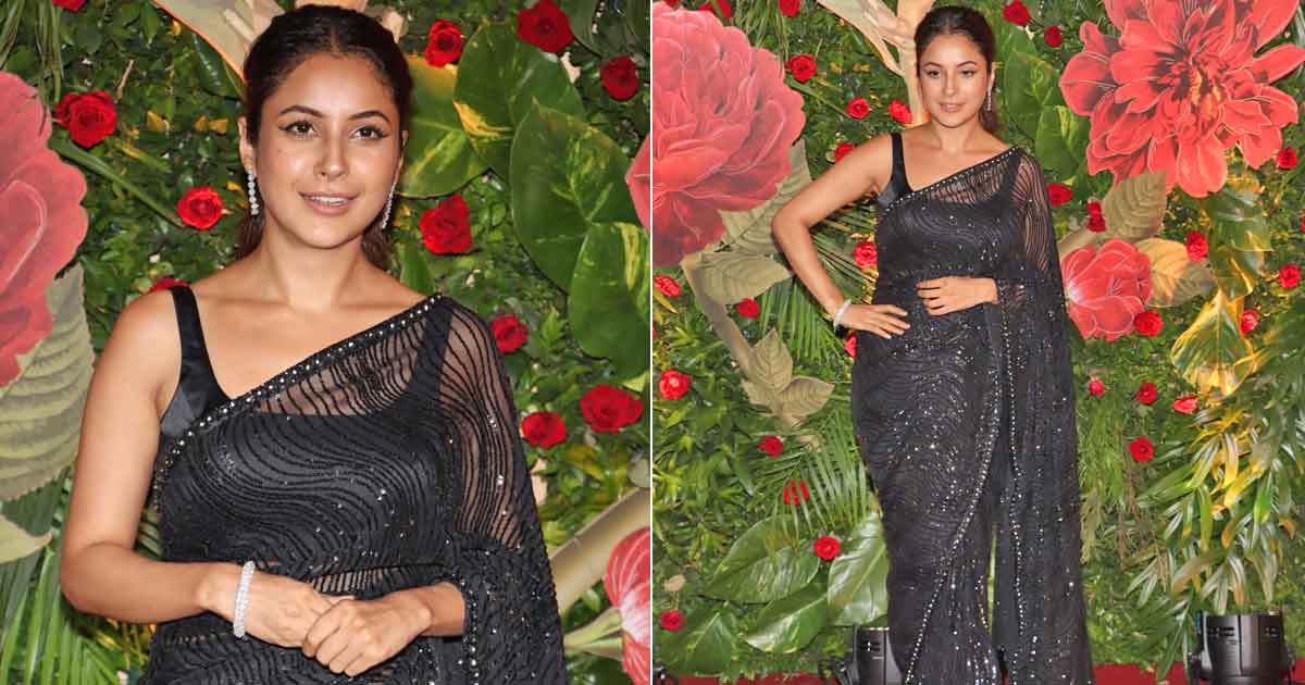 Shehnaaz Gill Slays In A Sheer Shimmery Saree Taking Her Fashion Game A Notch Higher & Girls, Take Notes
