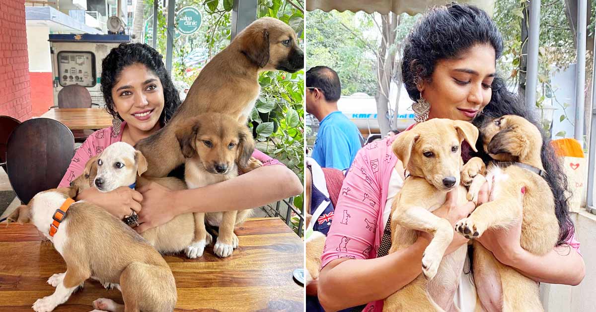 Don't buy dogs, adopt them, advises Samyukta Hornad