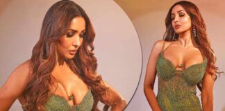 Malaika Arora Shows Off Her Busty Assets In A Green Netted Dress With A Plunging Neckline