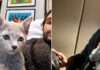 The Weeknd shares pictures of him babysitting kittens