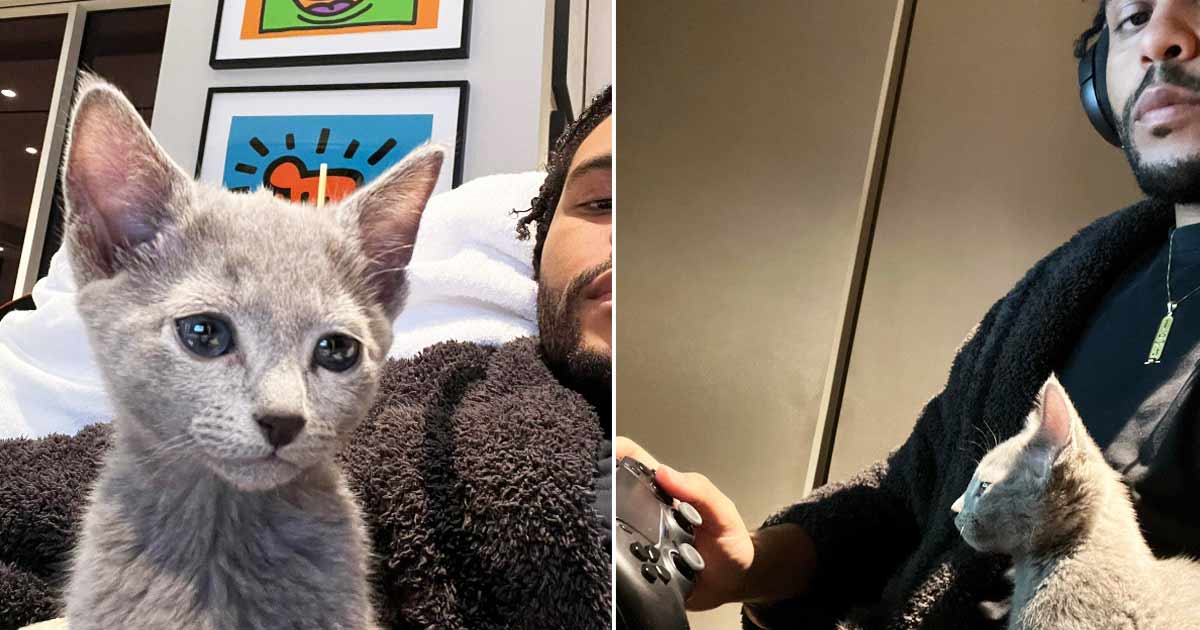 The Weeknd Makes Fans Go Crazy Over His Adorable Photos With A Cat