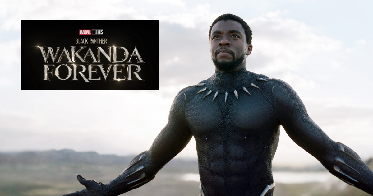 Black Panther: Wakanda Forever OG Plot With Chadwick Boseman Revealed